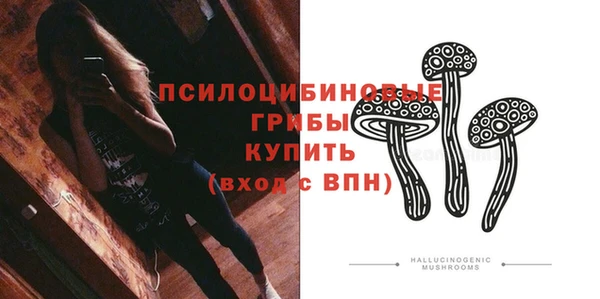 твердый Каменка