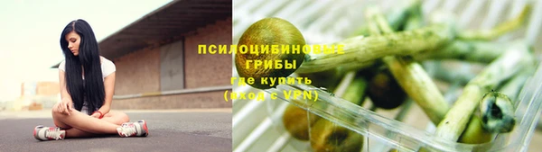 твердый Каменка