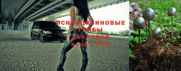твердый Каменка