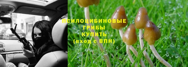 твердый Каменка