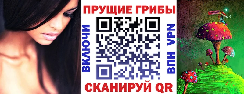 kraken ТОР  Ветлуга  Псилоцибиновые грибы GOLDEN TEACHER  где можно купить  
